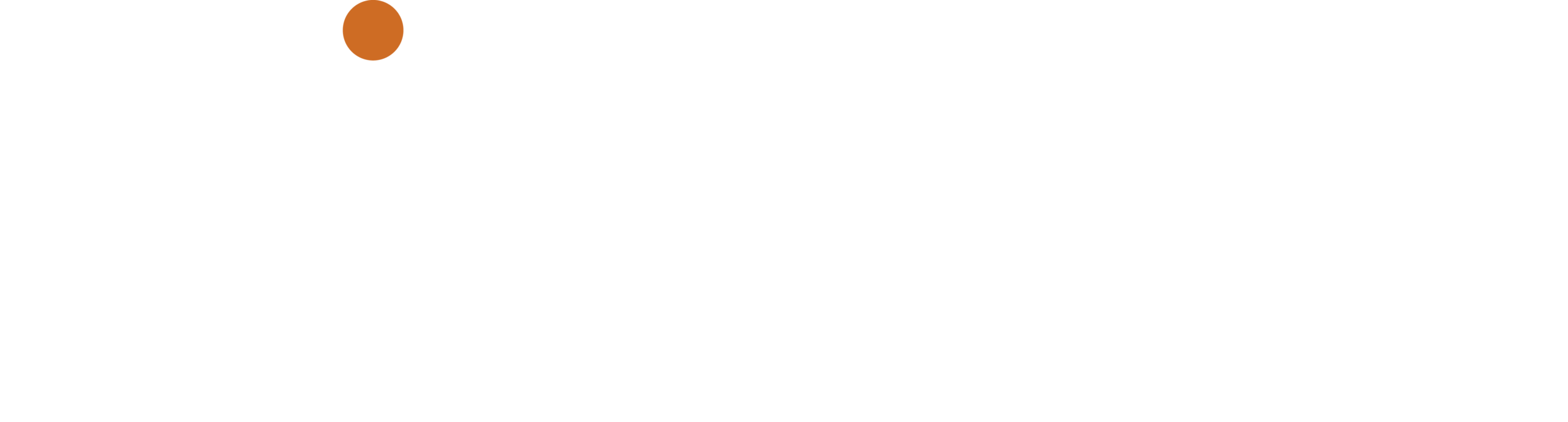 logo de la boutique Adirondack à Nyon